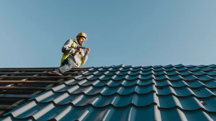 Roof Care